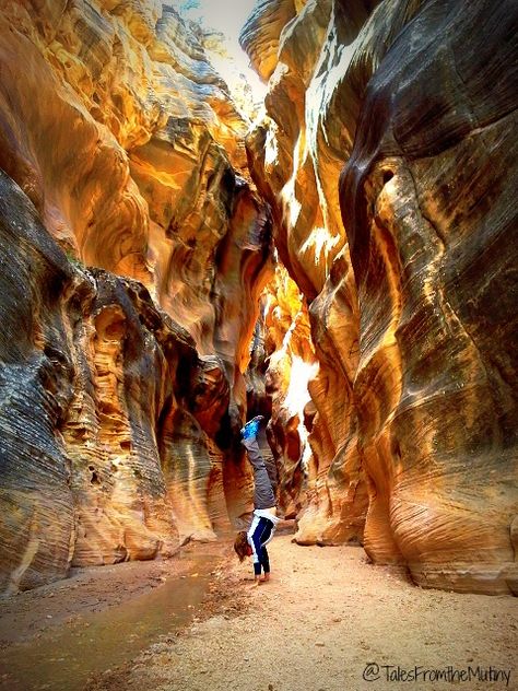 Our Favorite Slot Canyon Hikes ~ {Near} Kodachrome Basin State Park, Utah – Tales From the Mutiny Willis Creek Slot Canyon, Utah Parks, Utah State Parks, Southwest Travel, Utah Camping, Slot Canyons, Utah Vacation, West Coast Trail, Utah Adventures