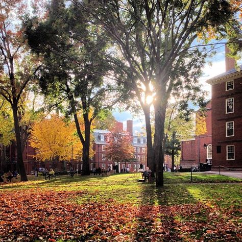 Education was a part of class stratification in The Great Gatsby. The wealthy went to school such as Harvard just because they could and if you hadn't gone to such a higher education center you would not be in the higher class. Harvard University Campus, Harvard Campus, Ivy League Aesthetic, Cambridge Boston, Harvard Yard, Harvard College, Massachusetts Travel, College Aesthetic, Dream School