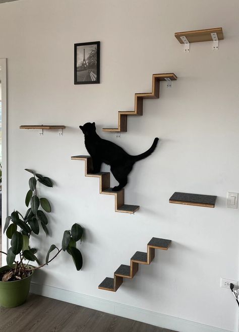 Cat Room Diy, Cat Climbing Wall, Cat Stairs, Niche Chat, Walnut Plywood, Cat Wall Furniture, Cat House Diy, Cat Steps, Cats Case