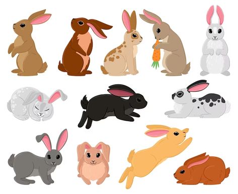 Bunny Sitting, Easter Animals, Premium Vector Cartoon, Cute Rabbits, Rabbit Silhouette, Rabbit Vector, Traditional Easter, Cartoon Chicken, Funny Rabbit