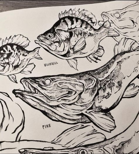 Sorie Kim, Bio Art, Fish Drawings, 1 Tattoo, Creature Drawings, Art Prompts, Creature Concept Art, Animal Sketches, Ink Illustrations