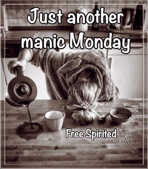 Morning Coffee Funny, Its Only Tuesday, I Hate Mondays, Tuesday Quotes, Good Day Sunshine, Weekday Quotes, Monday Humor, Work Quotes Funny, Work Quotes Inspirational