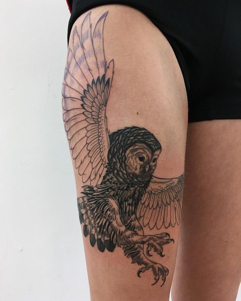 A-B M/VALLEY on Instagram: “Barred owl freehand for the talented @annasagetattoos ! We have one more one hour session to go to finish the wings (the blue in the wings…” Northern Saw Whet Owl Tattoo, Barred Owl Tattoo, Valley Tattoo, Freehand Sketch, Saw Whet Owl, Bleach Shirt, Owl Tattoo Design, Chest Tattoos, Barred Owl