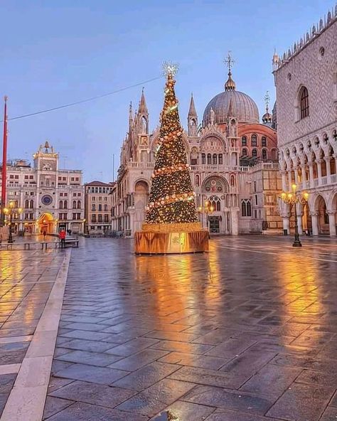 I like Venice | A Christmas atmosphere in Venice | Facebook Italian Christmas Traditions, Christmas In Rome, Christmas In Italy, Merry Christmas Tags, Visit Venice, Santa Lucia, Noel Christmas, Venice Italy, Italy Travel