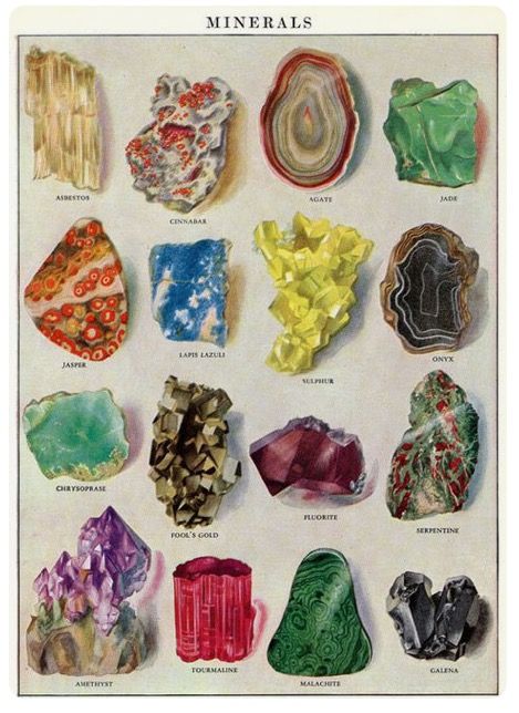 Minerals Art, Museum Poster, Picture Collage Wall, 1920s Art, Scientific Illustration, Poster Ideas, Picture Collage, Free Prints, Antique Prints