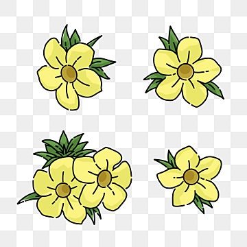 alamanda,yellow flower,golden trumpet,yellow clipart,golden flower,flower clipart,flower clipart outline,yellow,flowers clipart,flower,flowers,yellow flower clipart,yellow flowers,golden clipart,yellow vector,flowers vector,golden,beautiful clipart,plant,plant clipart,a clipart,beautiful flowers,small clipart,beautiful,decoration,decoration clipart,yellow bell flower,bunga alamanda,flower element,element,ornamen bunga,bunga kuning,kuning Alamanda Flower Drawing, Yellow Flower Drawing Simple, Alamanda Flower, Yellow Flowers Drawing, Flower Painting Tulip, Allamanda Flower, Small Clipart, Yellow Flower Art, Plant Clipart