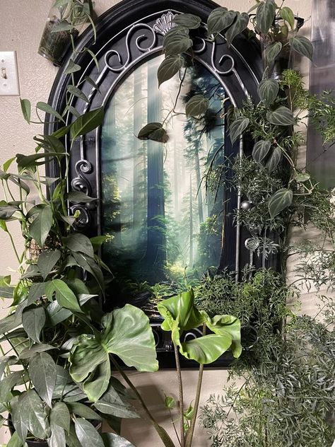 Houseplant Central | I wanted to show off this old mirror frame I found a couple weeks ago | Facebook Repurposed Mirror Frame, Portal Mirror, Mirror Repurpose, Plant Corner, Old Mirror, Mirror Frame, Mirror Frames, Show Off, Apartment Decor