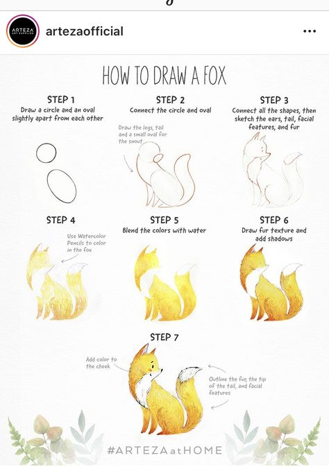 Fox Drawing Tutorial, Cute Fox Drawing, Instagram Doodle, Basic Sketching, Professional Art Supplies, Doodle A, Learn Watercolor Painting, Fox Drawing, Learn Watercolor