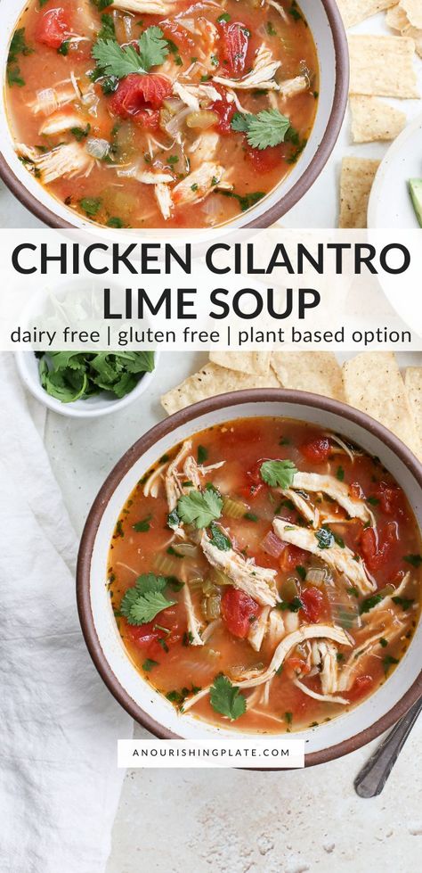 Chicken cilantro lime soup has so much flavor and is an easy one-pot meal. This recipe is dairy-free and gluten-free with a meatless option. Cilantro Lime Soup, Chicken Cilantro Lime, Gluten Free Healthy Dinners, Chicken Lime Soup, Spring Soup Recipes, Lime Soup, Chicken Cilantro, Cheap Healthy Dinners, Oregano Chicken