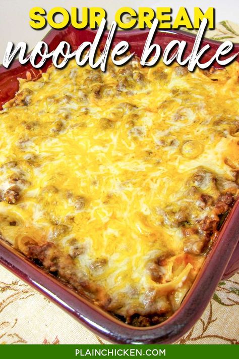 Hamburger Noodle Casserole, Cottage Cheese Sour Cream, Egg Noodle Casserole, Frozen Fruit Salads, Sour Cream Noodle Bake, Beef Noodle Casserole, Noodle Bake, Egg Noodle Recipes, Hamburger Casseroles Recipes