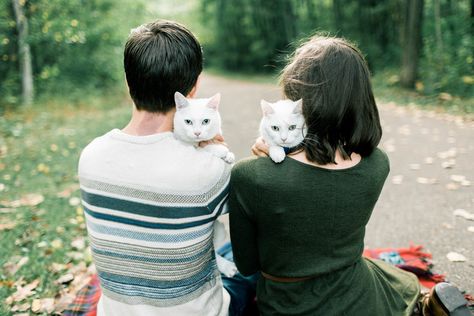 Family Photo shoot with Cats. Marquette, Michigan Engagement Adventure Photographer Cat Family Photo, Cat Family Portrait, Pet Family Photos, Life With Cats, Marquette Michigan, Animal Photoshoot, Kitty Photos, Pet Pictures, Cat Wedding