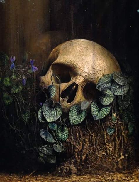 I need this in my garden this summer!❤❤❤❤ Skull Reference, Growth And Decay, Skeleton Art, Human Ashes, Human Skull, Wow Art, A Skull, 판타지 아트, Skull And Bones