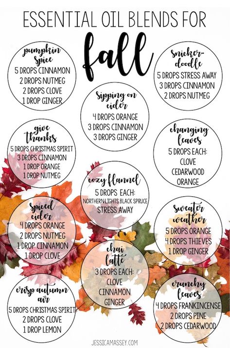 Diffuser Blends For Fall, Fall Essential Oil Blends, Fall Essential Oils, Fall Diffuser Blends, Essential Oils For Babies, Essential Oil Combinations, Essential Oil Diffuser Blends Recipes, Young Living Essential Oils Recipes, Essential Oils Guide