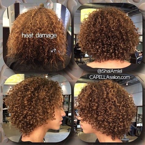 Damaged Curly Hair, Deva Cut, Cabello Afro Natural, Natural Hair Cuts, Curls For The Girls, Pelo Afro, Natural Curls Hairstyles, Curly Hair Inspiration, Happy Hair