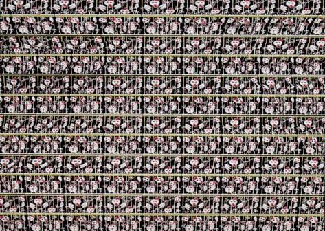 Magic Eye!!! - Gallery 3d Stereograms, Optical Illusions Pictures, Magic Eye Pictures, Eye Illusions, Illusion Pictures, Magical Pictures, Eye Images, Eye Pictures, Deep Sea Creatures