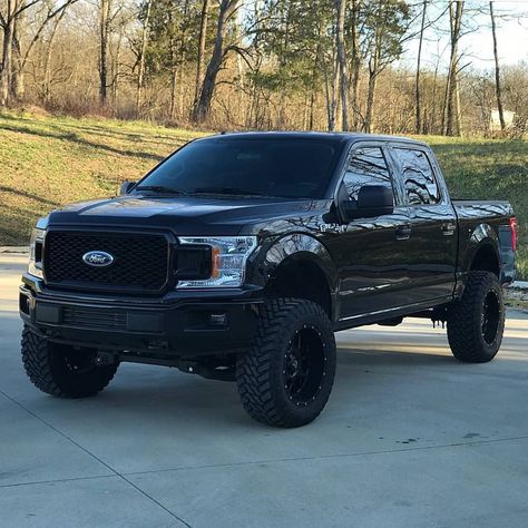 Ford F150 Lifted, Ford F150 Accessories, F150 Lifted, 2020 Ford F150, F150 Platinum, Ford F150 Fx4, 2012 Ford F150, Car Obsession, 2018 Ford F150