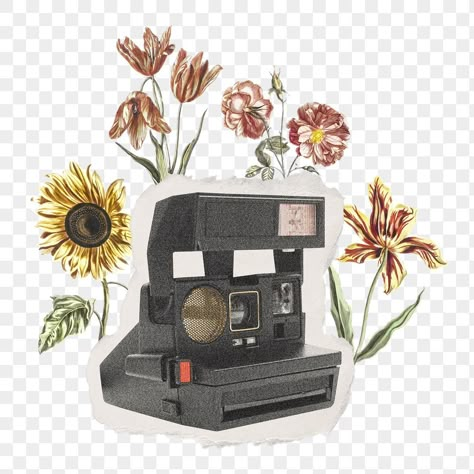 Notion Stickers Png, Flower Transparent Background, Retro Film Camera, Film Png, Collage Png, Camera Png, Camera Sticker, Flower Transparent, Photo Elements