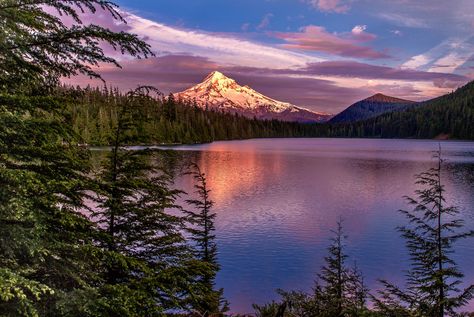 Lost Lake. Mt. Hood, Oregon. Lost Lake Oregon, Mt Hood Oregon, Oregon Photography, Mount Hood, Mt Hood, Oregon Coast, Pacific Northwest, Sunrise Sunset, West Coast