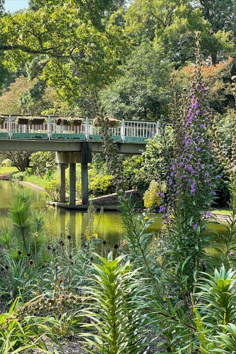 Things to do Norfolk, VA: Norfolk Botanical Gardens #thingstodovirginia #virginia #travelinspo gardens to visit #nature Norfolk Virginia Aesthetic, Norfolk Botanical Garden, Early Adulthood, Canada Cruise, Hampton Virginia, Virginia Travel, Norfolk Virginia, Senior Trip, Norfolk Va