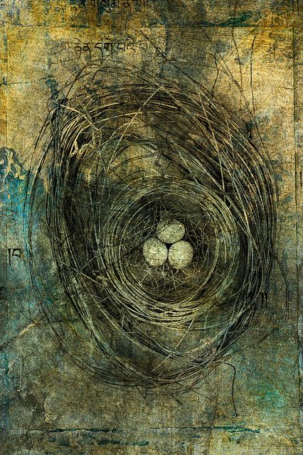 Nest with three eggs. Photo based illustration Nest Images, Nest Art, Bird Nests, Tempera Paint, Birds Art, Paper Birds, Gelli Printing, Birds Nest, Nature Table