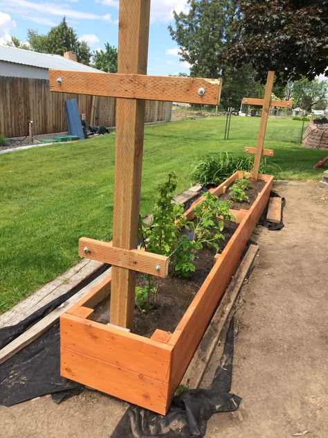 My raised bed for raspberries. On the to the next one. Raspberries Raised Beds, Raised Raspberry Bed, Raspberry Raised Bed, Raspberries In Raised Beds, Raspberry Garden Ideas, Raspberry Garden, Growing Berries, Raspberry Trellis, Bush Garden