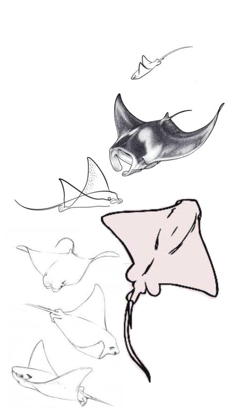 Stingray Reference, Sting Ray Tattoo Ideas, Watercolour Stingray, Mantaray Painting, Sting Ray Sketch, Cute Stingray Drawing, Sting Ray Drawings, Stingray Doodle, Mantaray Drawing