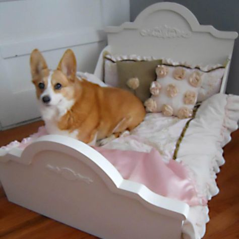 Pvc Dog Bed, Suitcase Dog Bed, Diy Dog Beds, Fancy Dog Beds, Dog Beds Homemade, Dog Bed Frame, Wood Dog Bed, Wooden Dog Bed, Pallet Dog Beds