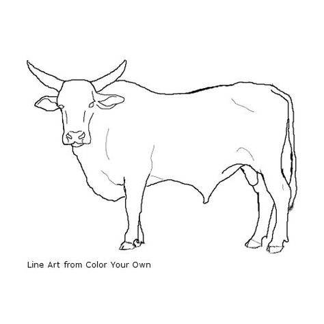 Longhorn Line Drawing, Bull Drawing Simple, Bull Coloring Page, Cattle Drawing, Bull Outline, Bull Art Drawing, Bull Sketch, Black And White Line Drawings, Bull Drawing