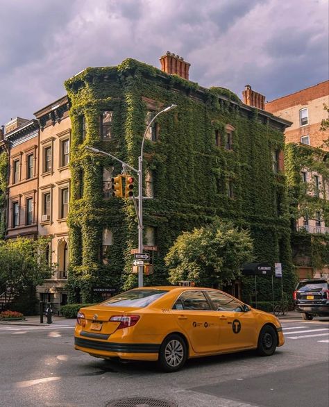 Nyc Green Aesthetic, Green New York Aesthetic, Green City Aesthetic, Green Urbanism, Spiderverse Dr, Green Board, Town Houses, Nyc Aesthetic, Nyc Skyline