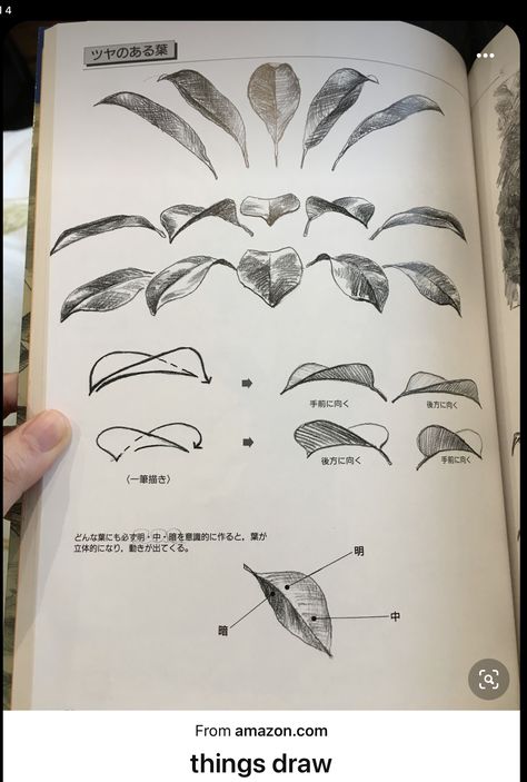 Leaves Painting Tutorial, Leaves Drawing Sketches, How To Draw Leaves, Leaf Shading, Leaf Reference, Foliage Drawing, Leaf Types, Leaf Sketch, Drawing Leaf