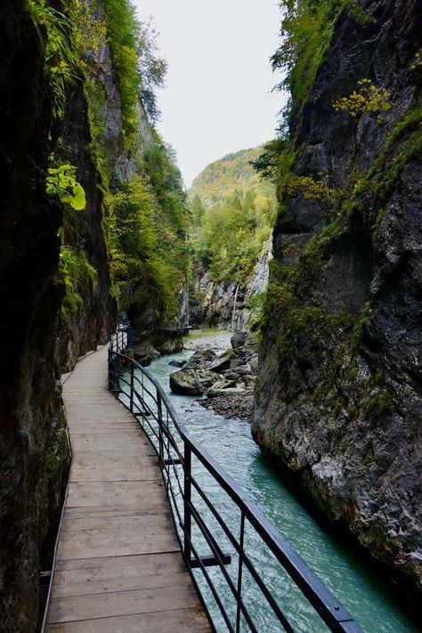 Are you in Switzerland? I bet there’s no better way to experience nature than visiting Aare Gorge and enjoying a canyon walk in Meiringen – the closest town Aare Gorge, Visit Switzerland, Some Beautiful Pictures, Lake Water, Switzerland Travel, 200m, Bern, Beautiful Destinations, Breathtaking Views