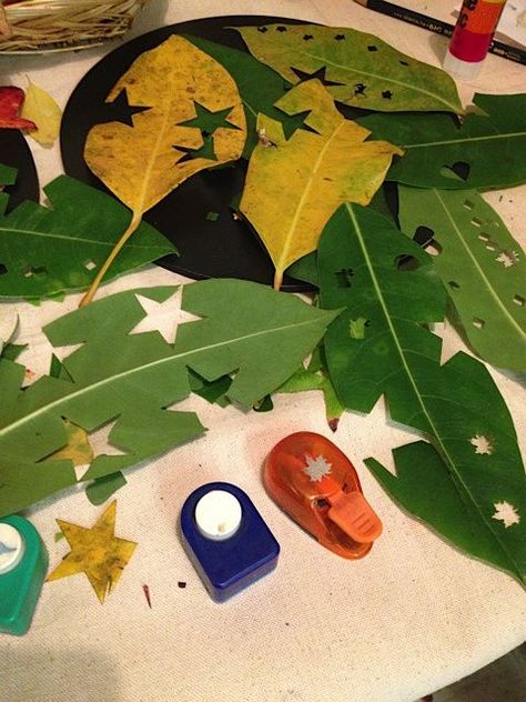 What a great idea for art! NAEYC! Forest School Activities, Tree Study, Nature School, Creative Curriculum, Art Creativity, Forest School, Autumn Crafts, Fine Motor Activities, Nature Crafts