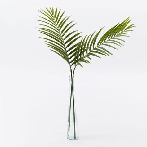 West Elm Faux Palm Leaf Branch - BestProducts.com Artificial Palm Leaves, Palm Plant, Palm Fronds, Monstera Plant, Fiddle Leaf Fig, Faux Plants, Key Details, Palm Leaf, West Elm