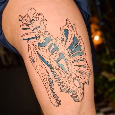 Dilophosaurus Skull ✨️💀🦖 Many thanks to Cat for undertaking this bad boi, they sat so so well! This was finished in our first session, and some colourful ginkgo leaves will be added in the second session. Can't wait to finish this beast up! #dinosaurtattoo #dilophosaurus #dilophosaurustattoo #thightattoo #largetattoo Dilophosaurus Tattoo, Dilophosaurus Skull, Dinosaur Tattoos, Tattoo Board, Ginkgo Leaves, Large Tattoos, Ginkgo Leaf, Many Thanks, Thigh Tattoo