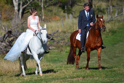 Horseback Wedding, Horse Wedding Photos, Mexican Wedding Ideas, Wedding Horse, Rural Property, Australian Country, Horse Wedding, Horse Chestnut, Night At The Museum