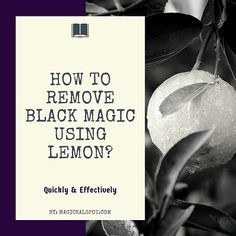 In this article, we'll find out How to Remove Black Magic Using Lemon effectively. We'll show you different methods that you can use daily. How To Remove Black Magic Spells, Remove Black Magic Spell, Dollhouse Colors, Lemon Cleanse, Karma Spell, Warcraft Movie, Spells That Actually Work, Curse Spells, Voodoo Magic