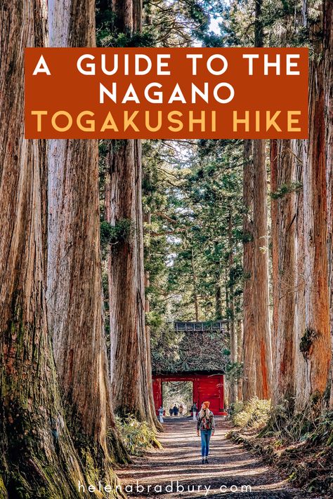 Togakushi Hike: A guide to the Togakushi shrine walk and how to get there — Helena Bradbury Japan Hiking, Togakushi Shrine, Snow In Japan, Fushimi Inari Shrine Photography, Places In Japan, Beautiful Places In Japan, Abandoned Shrine Japan, Japanese Countryside, Nagano Japan