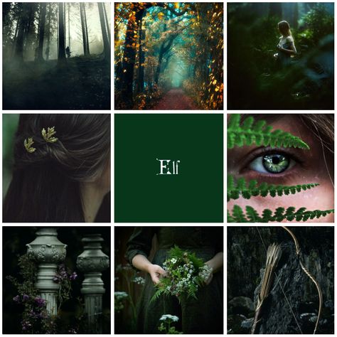 Elf moodboard Ultimate Fictional Classification, Elven Aesthetic, Life Quizzes, Elf Aesthetic, D D Races, Minas Tirith, Lotr Elves, Wood Elves, Forest Elf