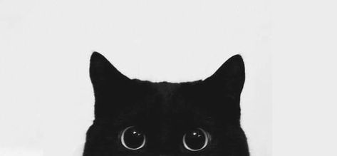 Pc Backgrounds, Cat Tattoo Ideas, Cat Phone Wallpaper, Black Cat Aesthetic, White And Black Cat, Name Of God, Photo Cover, Arte 8 Bits, Cat Background