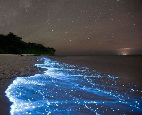 Mosquito Bay (Bioluminescent Bay). Vieques, Puerto Rico. Bioluminescent Bay, Solo Traveling, Sea Of Stars, Colmar, Incredible Places, Natural Phenomena, Angkor, Antelope Canyon, Fantasy Landscape