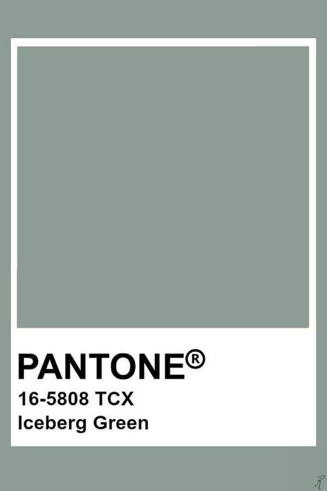 Eucalyptus Green Color Trend 2021-2022 in interiors and design Green Color Trends, Pantone Tcx, Pantone Green, Pantone Color Chart, Pantone Swatches, Pantone Palette, Pantone Colour Palettes, Color Chip, Colour Board