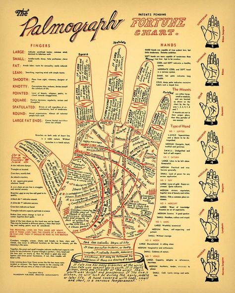 Vintage Palmistry Chart 5 Sizes Fortune Telling | Etsy | Palmistry, Palm reading, Palm reading charts Palm Reading Charts, Palmistry Reading, Palmistry Hand, Reading Charts, Magia Das Ervas, Reading Tarot, Wiccan Spell Book, Witchcraft Spell Books, Witch Spell Book