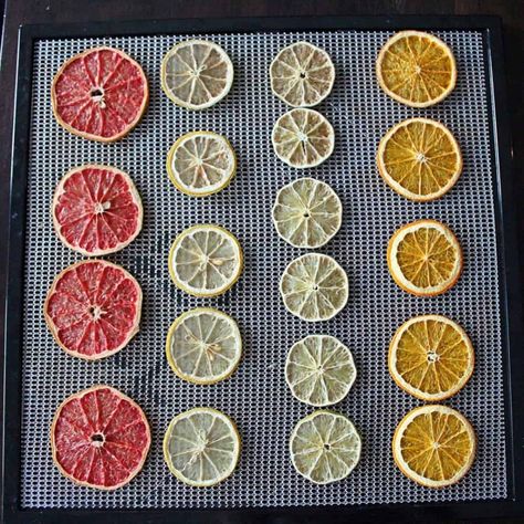 Dehydrated Citrus, Dried Citrus, Lemons And Limes, Fruit Packaging, Healthy Vegetable Recipes, Dehydrated Fruit, Sweet Potato Chips, Dehydrated Food, Dehydrator Recipes