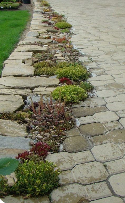 Stone Path, Have Inspiration, Garden Yard Ideas, Design Exterior, Garden Pathway, Garden Edging, Candy Land, Front Garden, Rock Garden