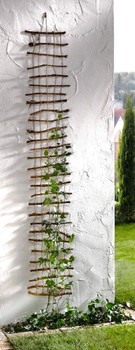 Wonderful DIY trellises for climbing plants | My desired home Rustic Trellis, Cucumber Trellis, Diy Garden Trellis, نباتات منزلية, Diy Trellis, Vertical Garden Diy, Plant Growing, Vertical Gardens, Garden Trellis