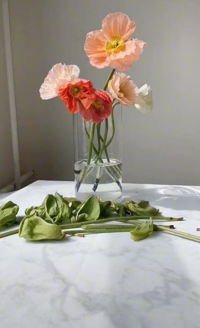 DON’T you hate it when you purchase a stunning bouquet of flowers that end up drooping after just a day or two. Well, floral designer Rachel Cho has shared just what it takes to keep your poppy flowers from doing just that – and it won’t cost you a dime. In the clip, Cho began […] Drooping Flowers, Flowers Last Longer, Modern Arrangements, Container Garden Design, No Rain No Flowers, Modern Flower Arrangements, Modern Flower, Poppy Flower, Flower Illustration