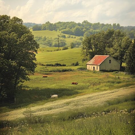 Cottage and country Photos | Free download Cottage In Field, Cottage Photos, Country Photos, Stone Cottage, Country Farm, Landscape Photos, Free Download, Art Inspiration, Cottage