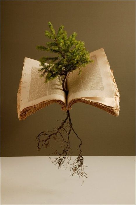 Sapling Book Sculpture, Open Book, Old Books, Book Nooks, Altered Books, I Love Books, Artist Books, Love Book, Altered Art