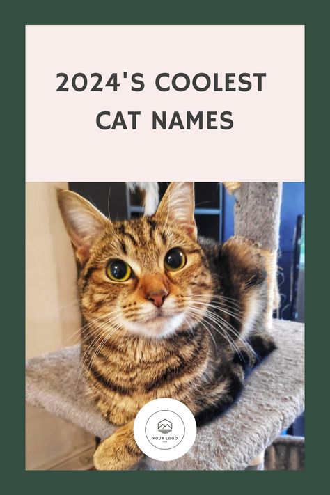 Explore our extensive collection of over 260 unique and powerful cat names. Whether you have a courageous male or a daring female feline, you'll find the ideal strong and bold name for your beloved companion. Male Cat Names Unique, Badass Cat Names, Best Cat Names, Kitten Names Unique, Names For Male Cats, Tabby Cat Names, Boy Cat Names, Norse Names, Unique Cat Names