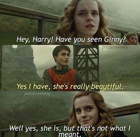 Hinny Memes, Funny Disney Characters, Hogwarts Classes, Hp Ships, Harry Potter Ginny Weasley, Harry Potter Ginny, Funny Harry Potter Jokes, Harry And Ginny, History Jokes